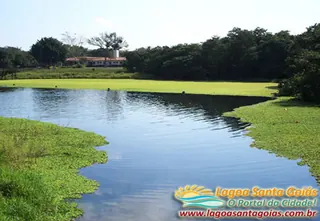 Laguna entre el bosque - Lagoa Santa, Goiás