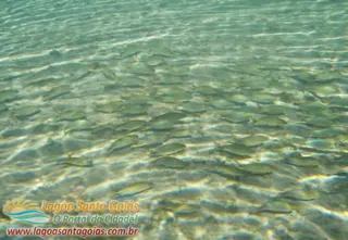 Fondo de la laguna - Lagoa Santa, Goiás